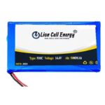 14.4V 5000MAh (4S2P) Lithium-Ion Battery Pack