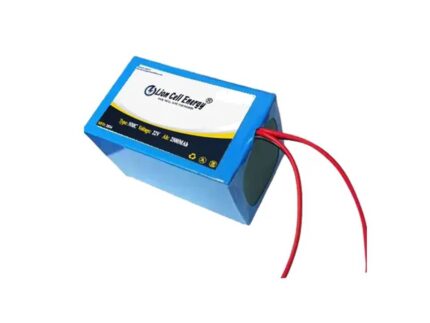 18V 10Ah (5S4P) Lithium-Ion Battery Pack