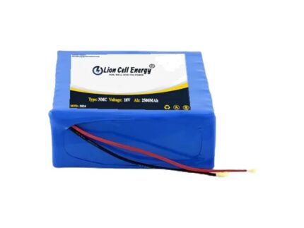 18V 5000Ah (5S2P) Lithium-Ion Battery Pack